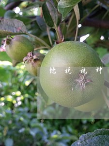 地税税种逾期0申报 地税税种逾期0申报