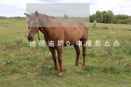 地税逾期0申报怎么办 地税逾期0申报怎么办