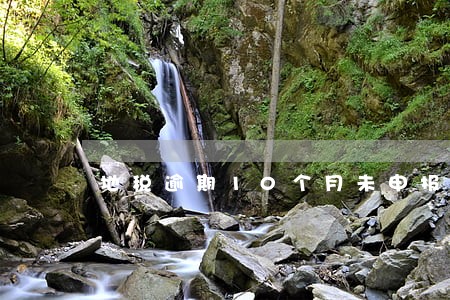 地税逾期10个月未申报 地税逾期10个月未申报
