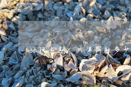 地税逾期10年罚款多少 地税逾期10年罚款多少