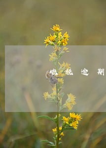 地税逾期1个月 地税逾期1个月