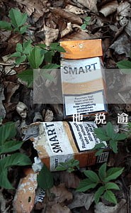 地税逾期1个月申报罚款 地税逾期1个月申报罚款