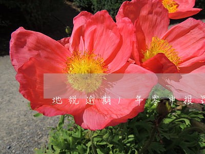 地税逾期1年零申报罚款 地税逾期1年零申报罚款