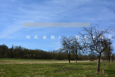 地税逾期30期未申报罚款 地税逾期30期未申报罚款