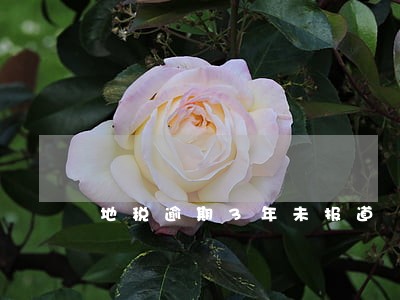 地税逾期3年未报道 地税逾期3年未报道