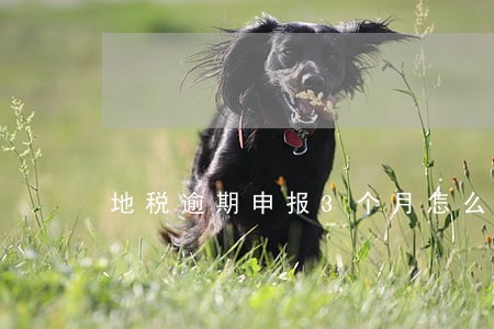 地税逾期申报3个月怎么处理 地税逾期申报3个月怎么处理