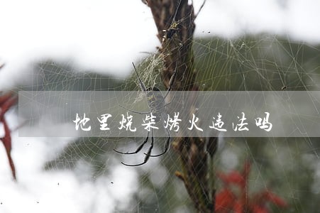 地里烧柴烤火违法吗 地里烧柴烤火违法吗