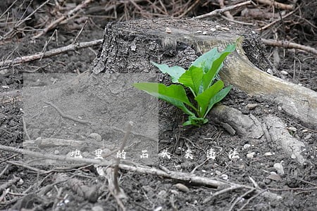 地里的石头卖违法 地里的石头卖违法