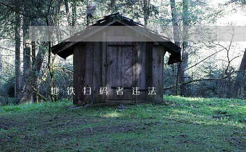地铁扫码者违法 地铁扫码者违法