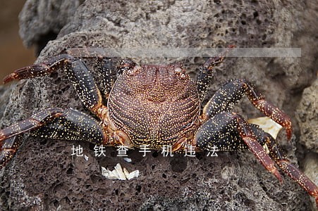 地铁查手机违法 地铁查手机违法