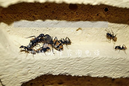 地铁法律咨询电话
