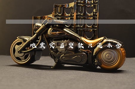 地震灾后贷款只还本金 地震灾后贷款只还本金