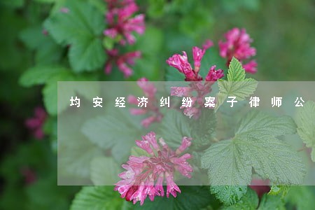 均安经济纠纷案子律师公司 均安经济纠纷案子律师公司