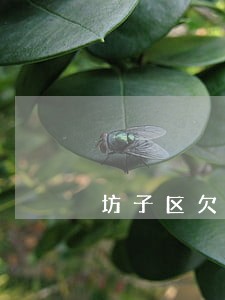 坊子区欠钱不还追讨律师