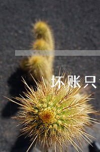 坏账只还本金 坏账只还本金