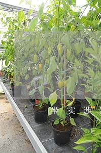 坐实涉嫌违纪违法 坐实涉嫌违纪违法