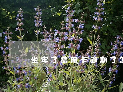 坐牢了信用卡逾期了怎么减息 坐牢了信用卡逾期了怎么减息