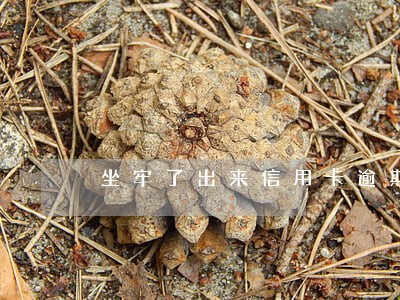 坐牢了出来信用卡逾期 坐牢了出来信用卡逾期