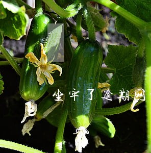坐牢了逾期网贷怎么办 坐牢了逾期网贷怎么办