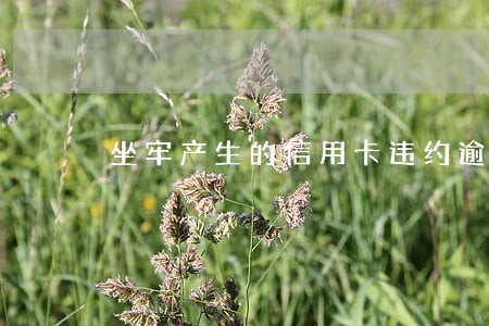 坐牢产生的信用卡违约逾期 坐牢产生的信用卡违约逾期