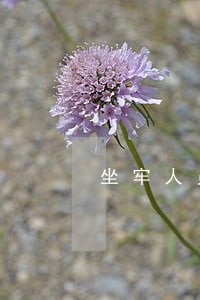 坐牢人员的信用卡逾期费用怎么算 坐牢人员的信用卡逾期费用怎么算