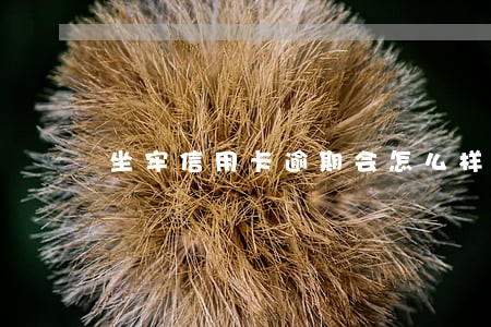 坐牢信用卡逾期会怎么样 坐牢信用卡逾期会怎么样