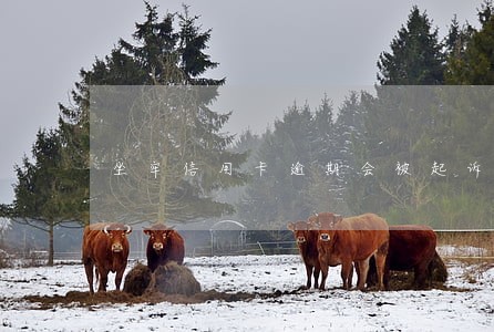 坐牢信用卡逾期会被起诉吗 坐牢信用卡逾期会被起诉吗