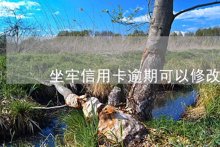 坐牢信用卡逾期可以修改吗 坐牢信用卡逾期可以修改吗