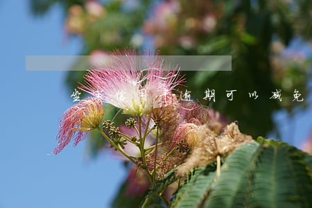 坐牢信用卡逾期可以减免吗