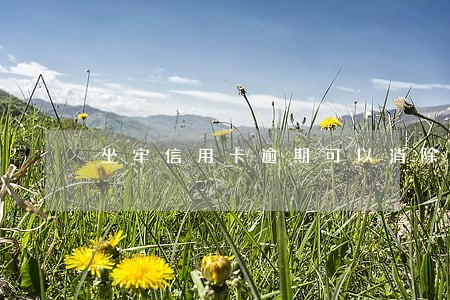 坐牢信用卡逾期可以消除吗 坐牢信用卡逾期可以消除吗