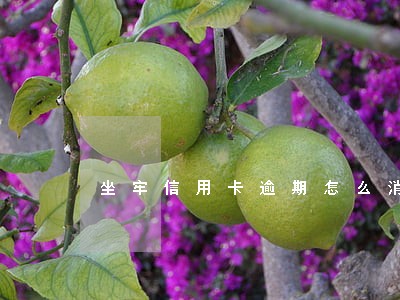 坐牢信用卡逾期怎么消除 坐牢信用卡逾期怎么消除