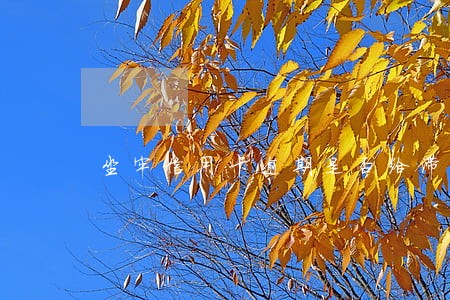 坐牢信用卡逾期是否给滞纳金