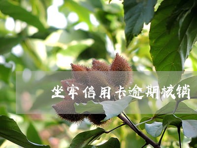 坐牢信用卡逾期核销 坐牢信用卡逾期核销
