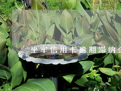 坐牢信用卡逾期滞纳金需要还吗