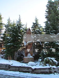 坐牢信用卡逾期被起诉