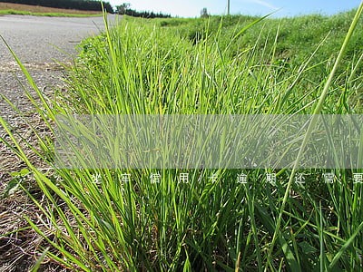 坐牢信用卡逾期还需要付利息吗