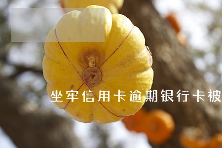 坐牢信用卡逾期银行卡被锁 坐牢信用卡逾期银行卡被锁