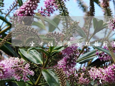 坐牢信用卡逾期银行怎么处理 坐牢信用卡逾期银行怎么处理