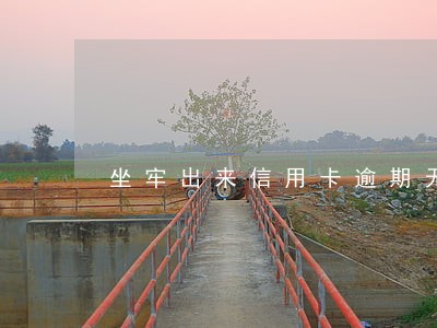 坐牢出来信用卡逾期无力偿还 坐牢出来信用卡逾期无力偿还