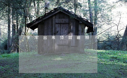 坐牢出来贷款逾期 坐牢出来贷款逾期