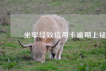 坐牢导致信用卡逾期上征信 坐牢导致信用卡逾期上征信