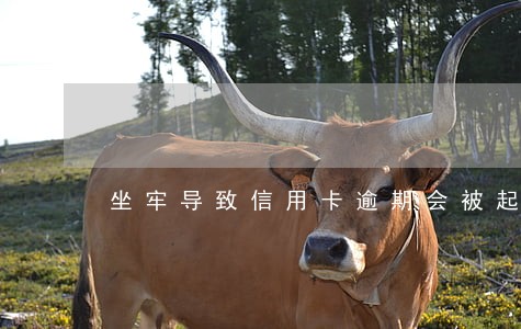 坐牢导致信用卡逾期会被起诉吗