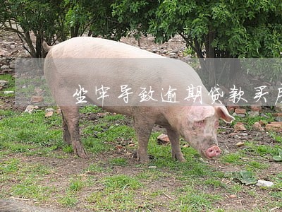坐牢导致逾期贷款买房 坐牢导致逾期贷款买房