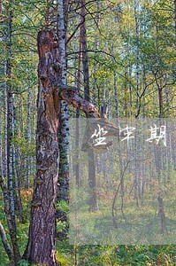 坐牢期间信用卡逾期了怎么办 坐牢期间信用卡逾期了怎么办