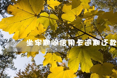坐牢期间信用卡逾期还款和滞纳金 坐牢期间信用卡逾期还款和滞纳金