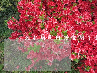 坐牢期间网贷逾期了怎么办 坐牢期间网贷逾期了怎么办