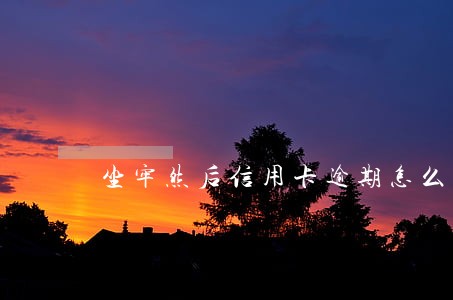 坐牢然后信用卡逾期怎么处理 坐牢然后信用卡逾期怎么处理