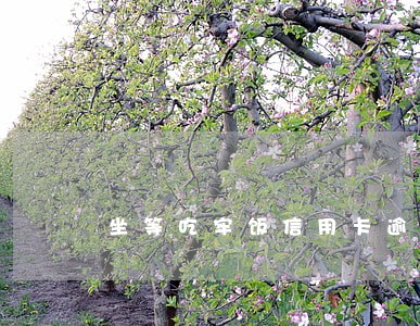 坐等吃牢饭信用卡逾期 坐等吃牢饭信用卡逾期