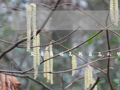 坚决离婚复联后怎么破冰 坚决离婚复联后怎么破冰