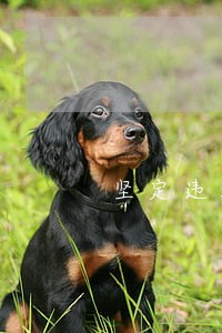 坚定违法砂石场清零目标 坚定违法砂石场清零目标